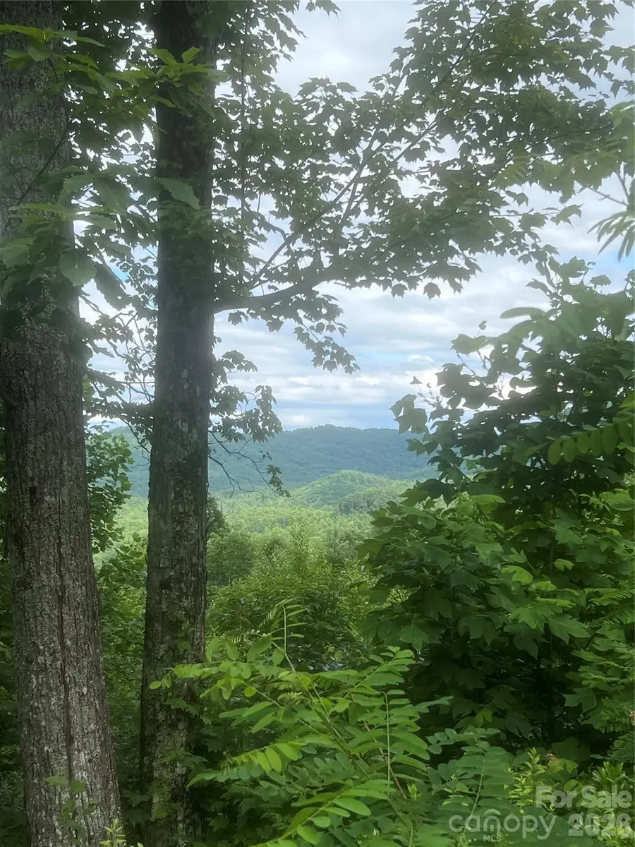71, 72, 73 High Peak Road, Hendersonville, NC 28792 - #2