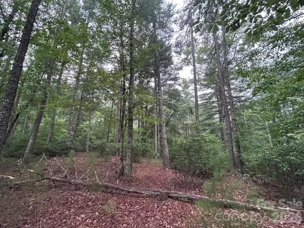 59 Captains Drive #224, Nebo, NC 28761