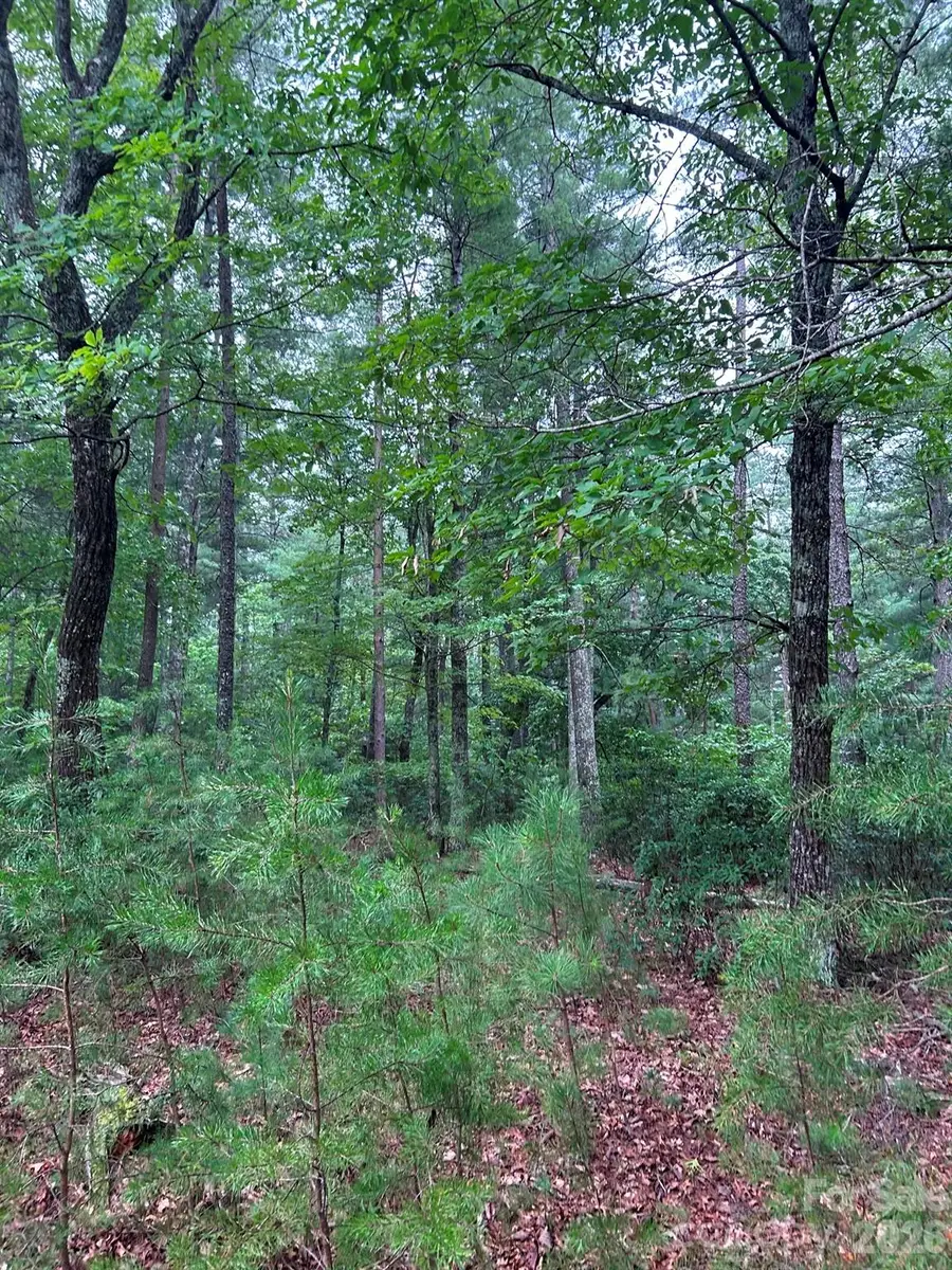 59 Captains Drive #224, Nebo, NC 28761 - #2