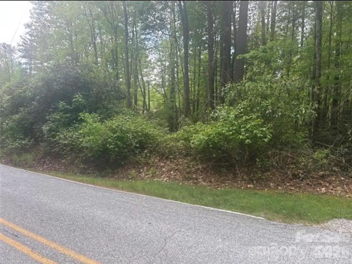TBD Upper Whitewater Road, Brevard, NC 28712 - #1