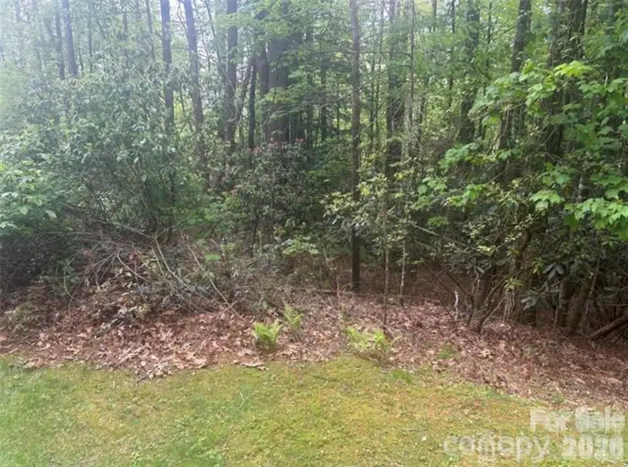 TBD Upper Whitewater Road, Brevard, NC 28712 - #2