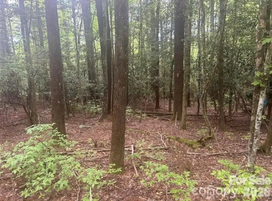 TBD Upper Whitewater Road, Brevard, NC 28712 - #3
