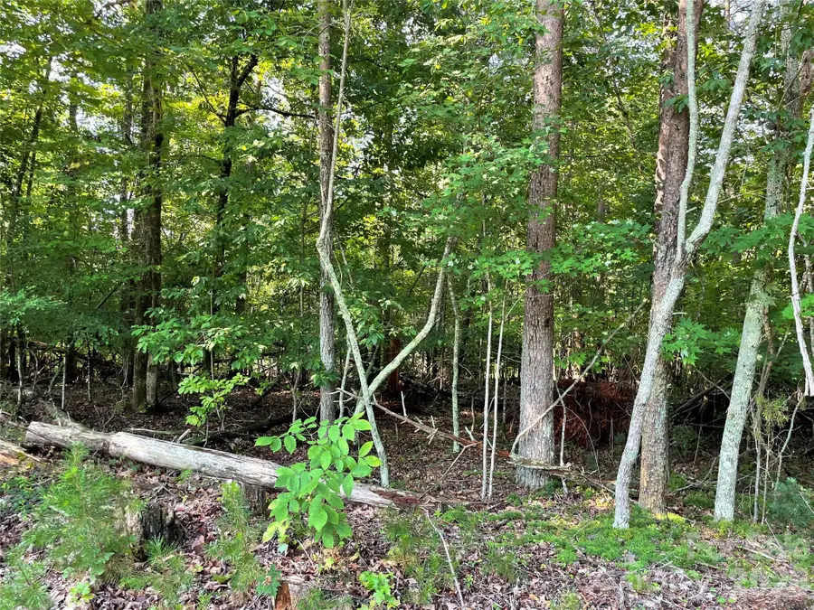 0 River Bend Drive #48, Connelly Springs, NC 28612 - #2