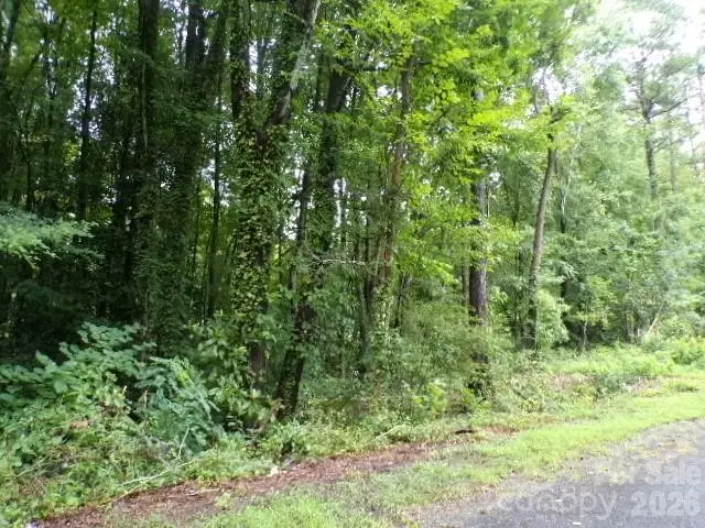 0 Larch Road #28, Salisbury, NC 28147 - #1