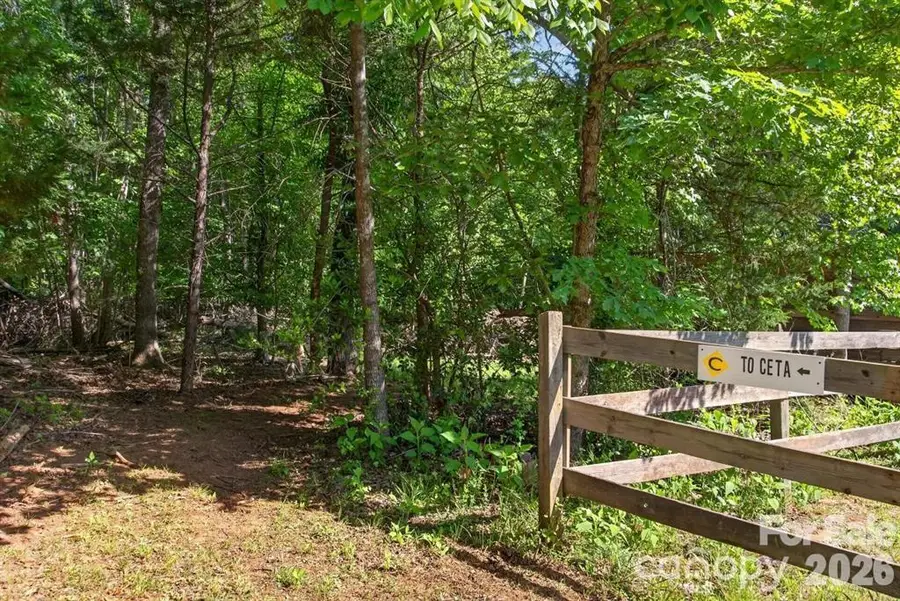 3205 Collinsville Road, Columbus, NC 28722 - #3
