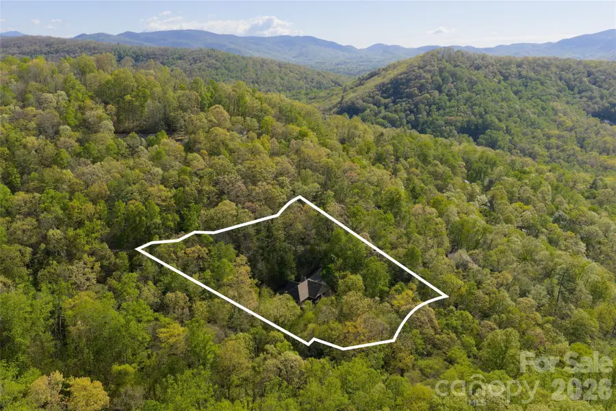 36 Snowshoe Drive, Asheville, NC 28803 - #2