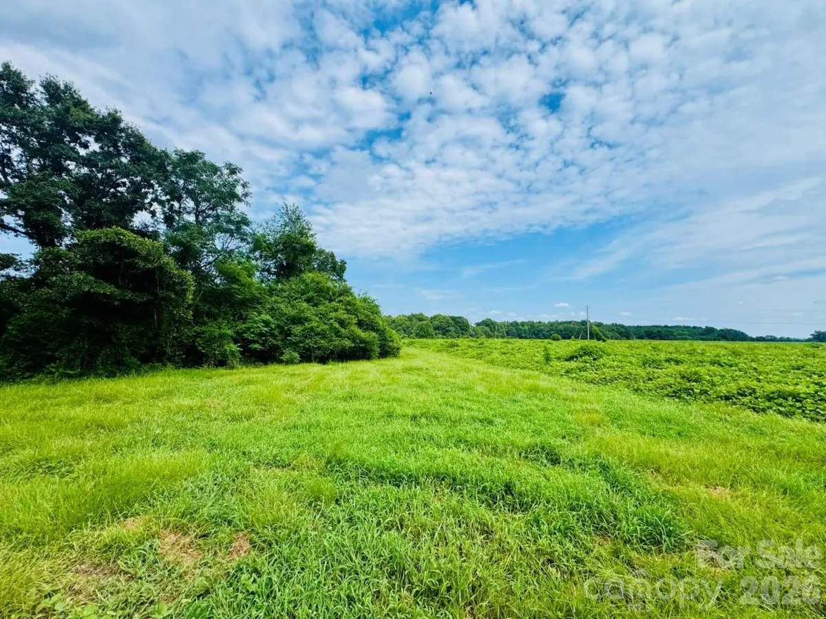 0000 Skeeter Lane, McColl, SC 29570 - #1