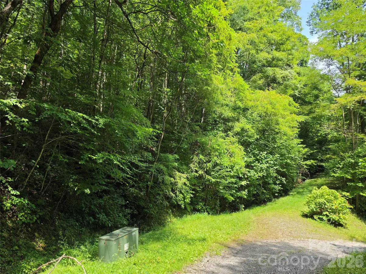 Lot 17 Cocker Spaniel Court #17, Whittier, NC 28789 - #1