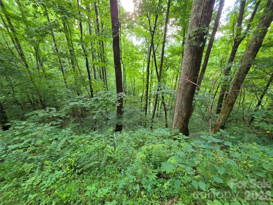 Lot 17 Cocker Spaniel Court #17, Whittier, NC 28789 - #3