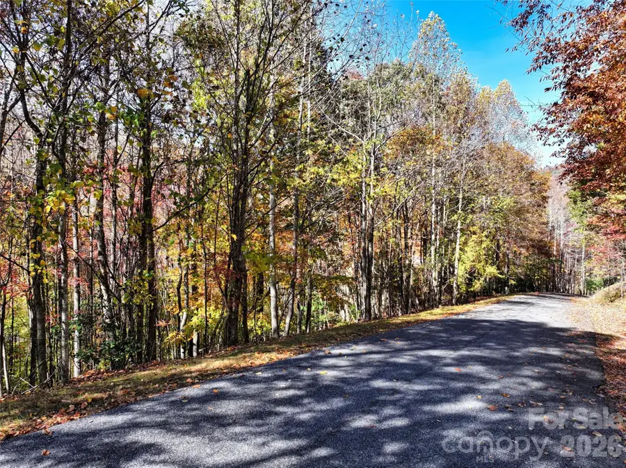 829 Stoney Stream Lane, Arden, NC 28704 - #2