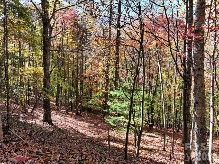 829 Stoney Stream Lane, Arden, NC 28704 - #3