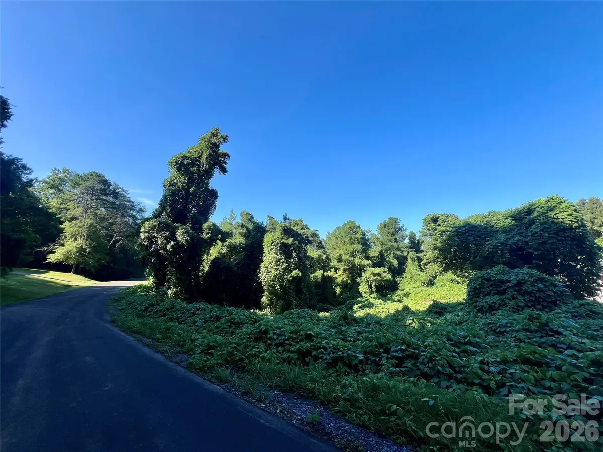 280 Jonas Sims Road, Rutherfordton, NC 28139 - #1