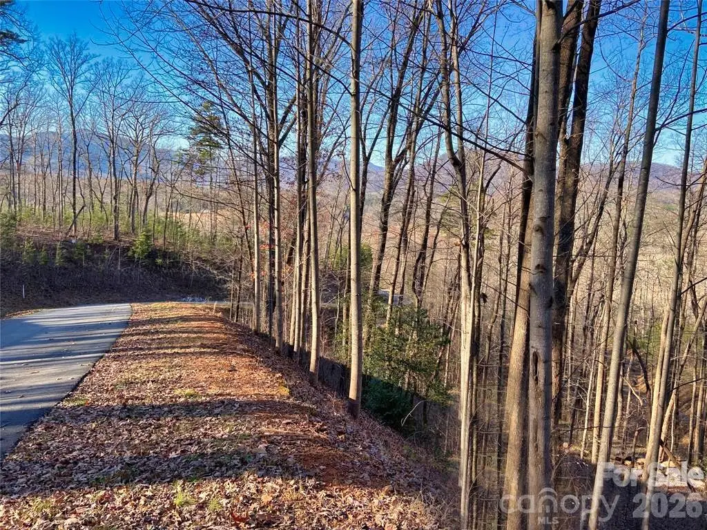 Lot 114 High Pines Loop, Lake Lure, NC 28746 - #1