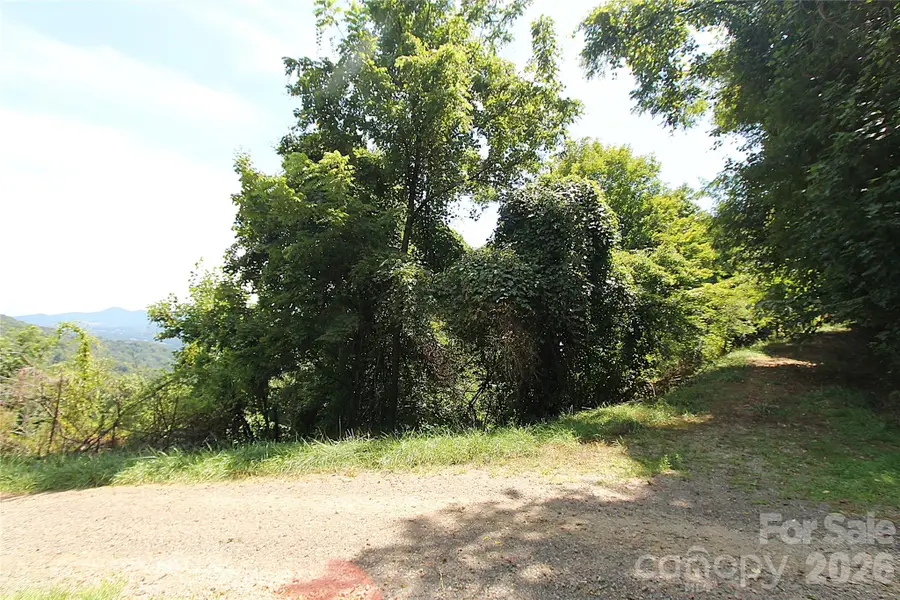 310 High Cliff Drive, Waynesville, NC 28786 - #2