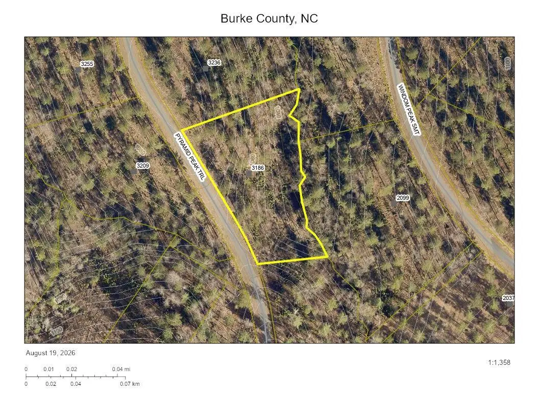 3186 Pyramid Peak Trail #209, Connelly Springs, NC 28612 - #1