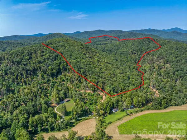 567 Davey Branch Road, Horse Shoe, NC 28742