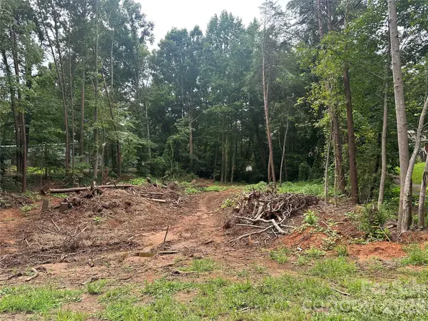 0 Executive Circle, Denver, NC 28037