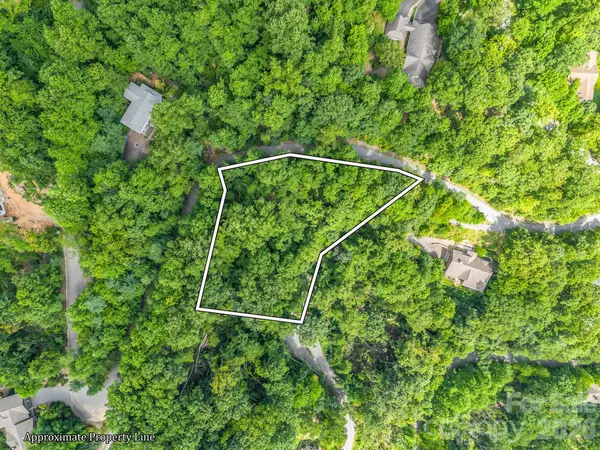 99999 Crestview Drive #A11, Black Mountain, NC 28711