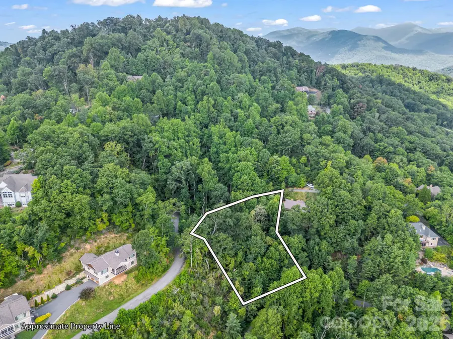 99999 Crestview Drive #A11, Black Mountain, NC 28711 - #3