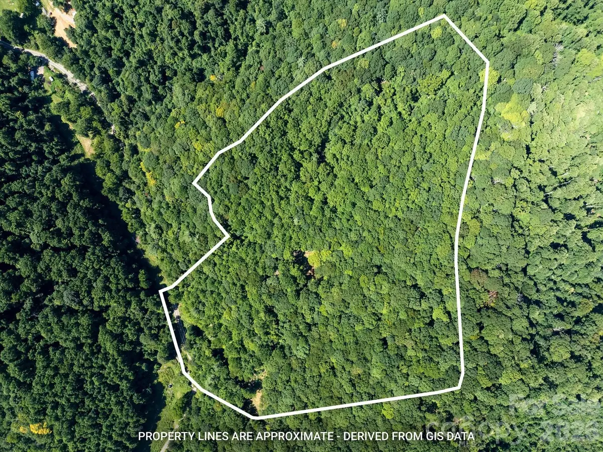 99999 Patsy Creek Road, Burnsville, NC 28714 - #1