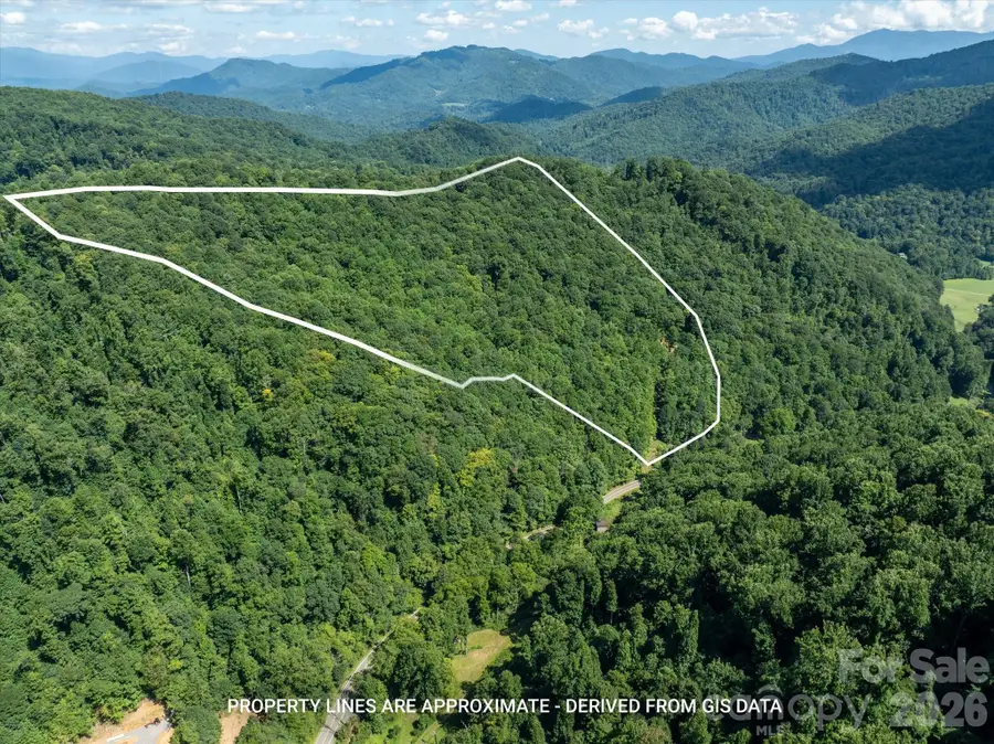 99999 Patsy Creek Road, Burnsville, NC 28714 - #2
