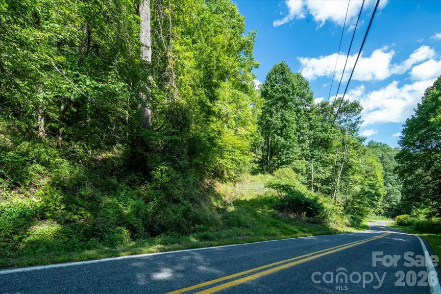 99999 Patsy Creek Road, Burnsville, NC 28714 - #3