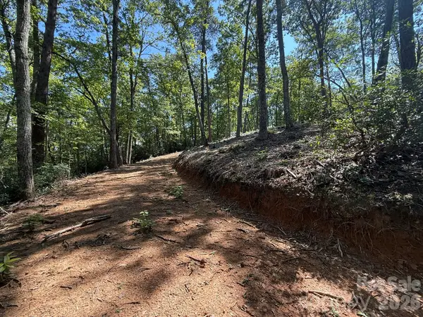V/L Overland Trail #168, Marion, NC 28752