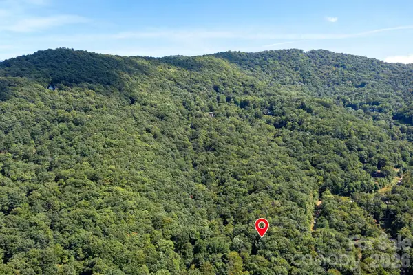 1250 Arborcrest Way #43, Swannanoa, NC 28778