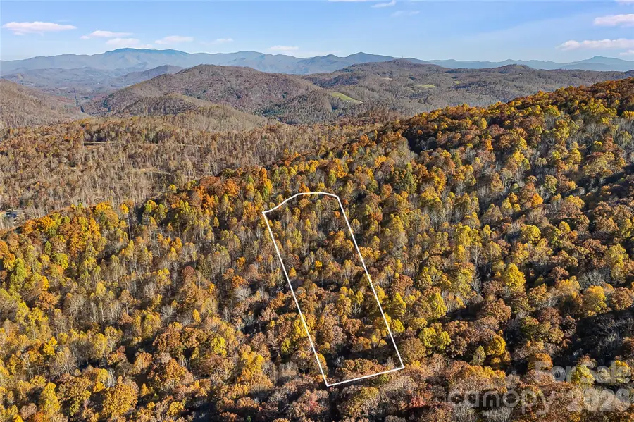 LOT 103 Alderfly Court, Spruce Pine, NC 28777 - #3