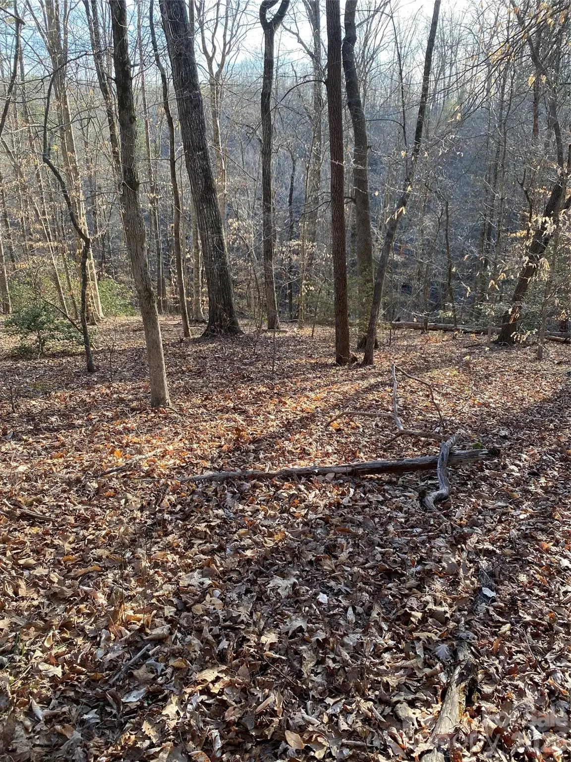 0 Hugh Champion Road, Tryon, NC 28782 - #1