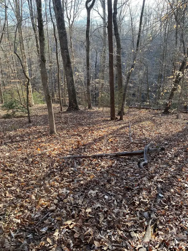 0 Hugh Champion Road, Tryon, NC 28782
