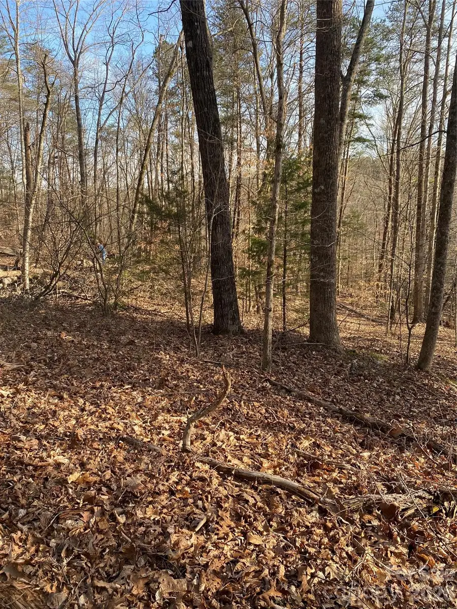 0 Hugh Champion Road, Tryon, NC 28782 - #2