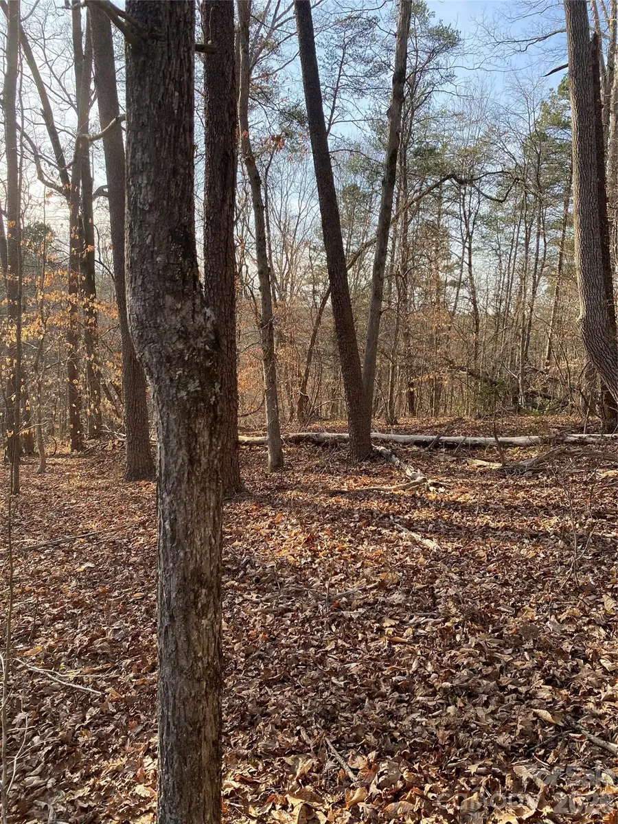 0 Hugh Champion Road, Tryon, NC 28782 - #3