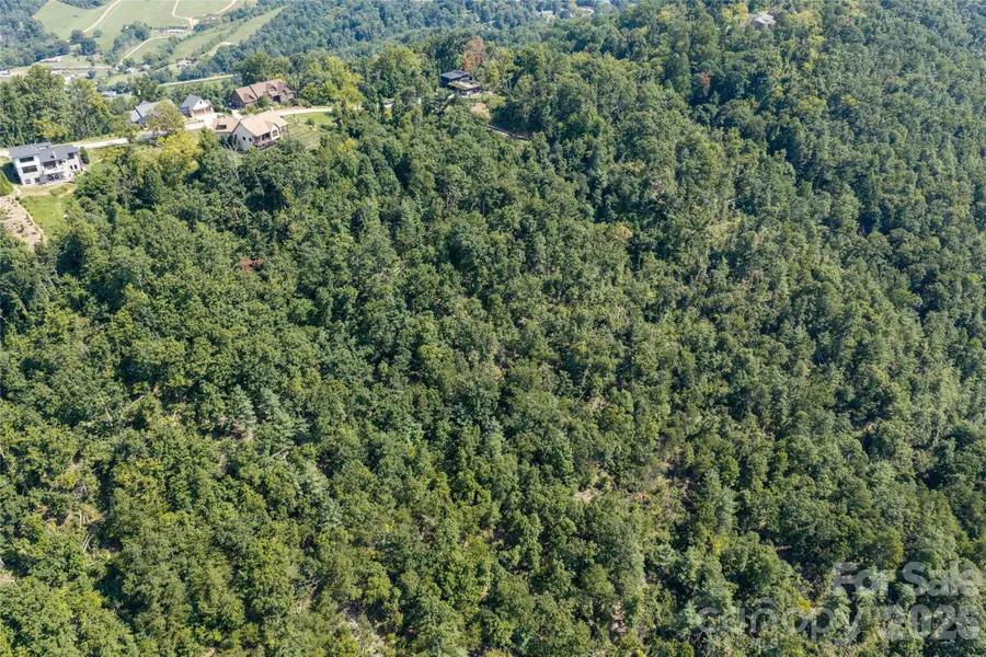 59 Longstreet Court #10, Weaverville, NC 28787 - #3