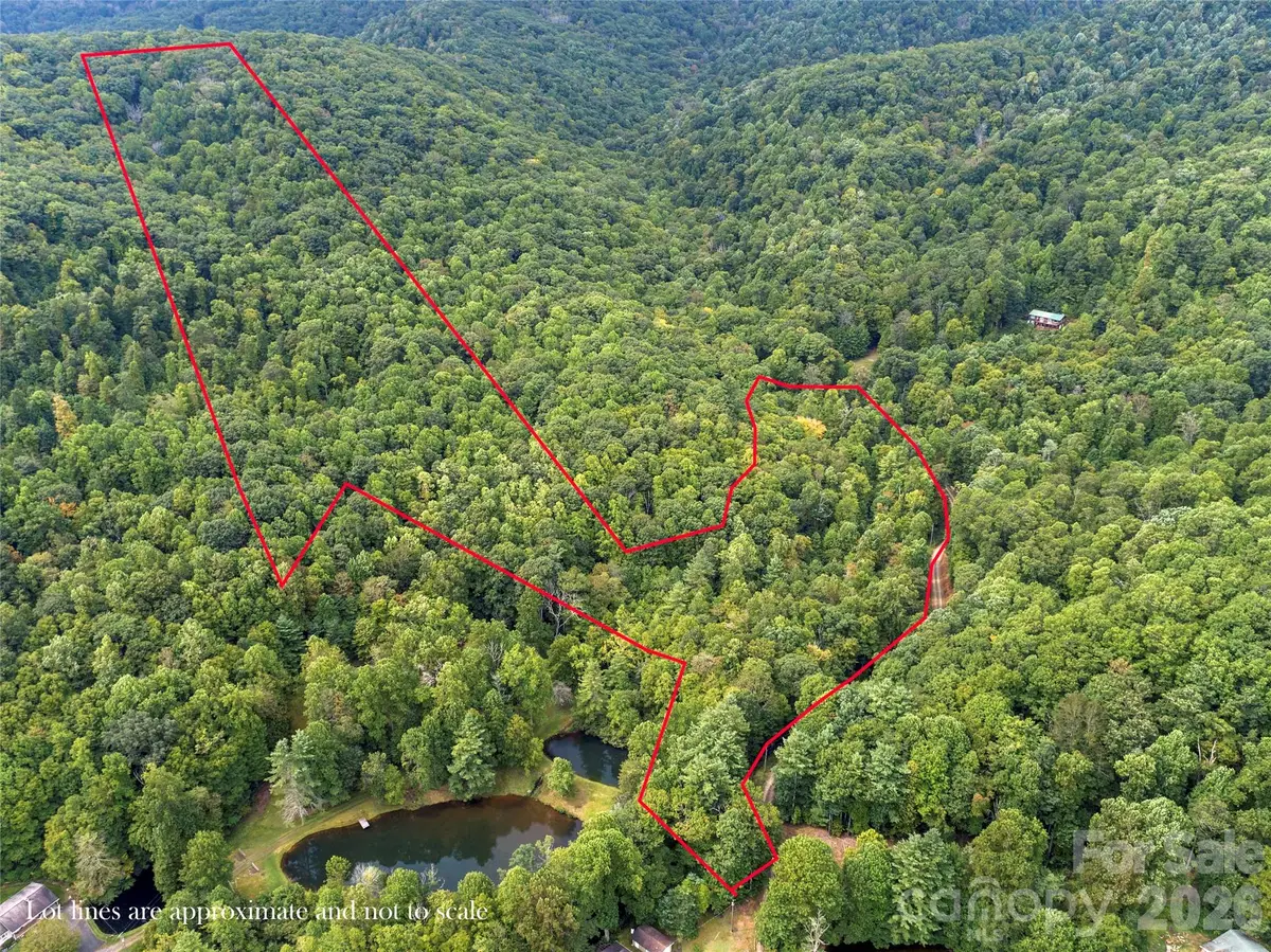 TBD Pond Road, Spruce Pine, NC 28777 - #1