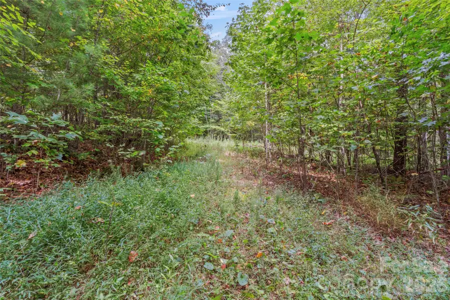 TBD Pond Road, Spruce Pine, NC 28777 - #3