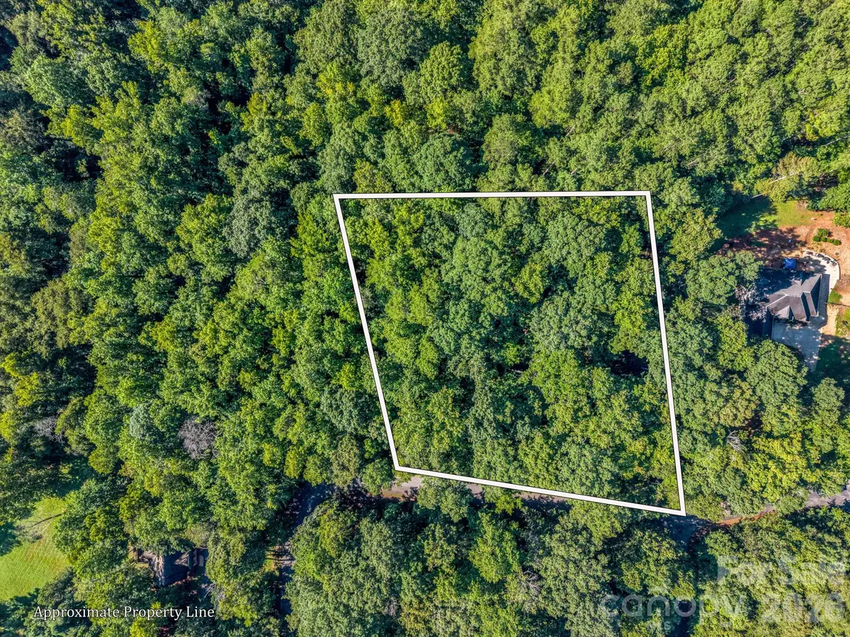 000 Rambling Creek Road, Tryon, NC 28782 - #1