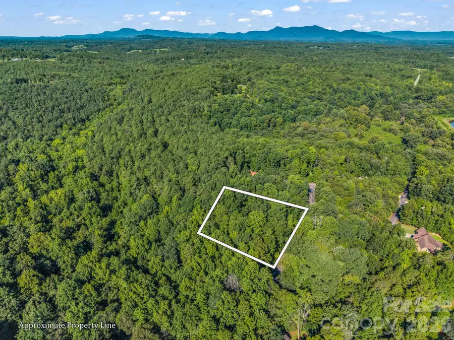000 Rambling Creek Road, Tryon, NC 28782 - #2
