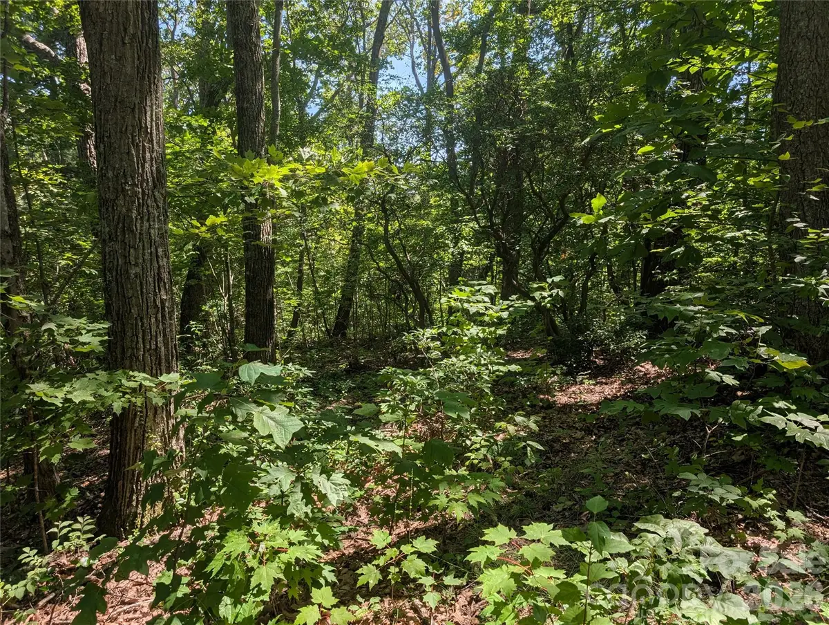 1824 Old Mill Road, Hendersonville, NC 28792 - #1