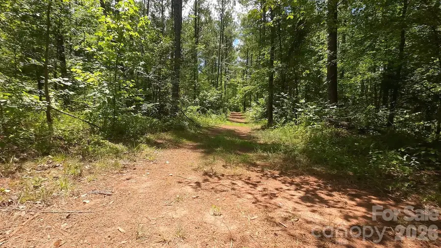 6+/- AC Lot 1 Parson Road, McConnells, SC 29726 - #3
