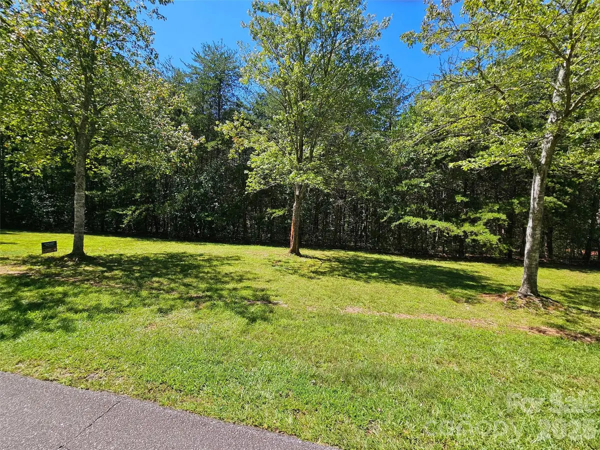 0 Shepherds Creek Circle, Rutherfordton, NC 28139 - #1