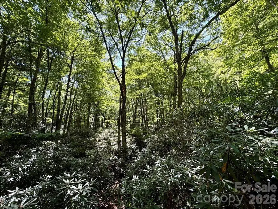 tbd Boulder Creek Drive #3, Boone, NC 28607 - #2