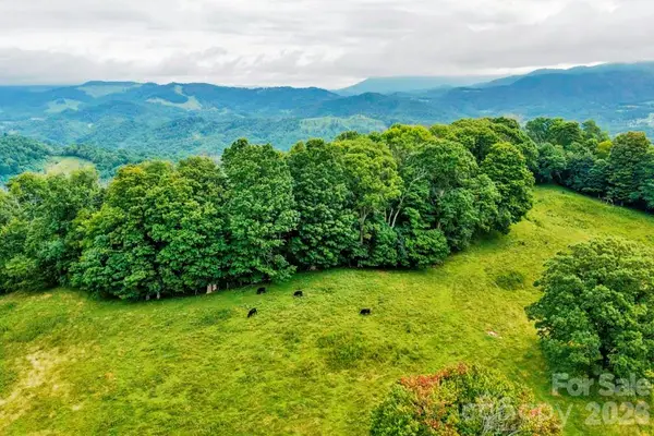tbd Vaughn Potter Road, Zionville, NC 28698