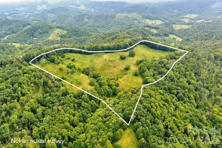 tbd Vaughn Potter Road, Zionville, NC 28698 - #2