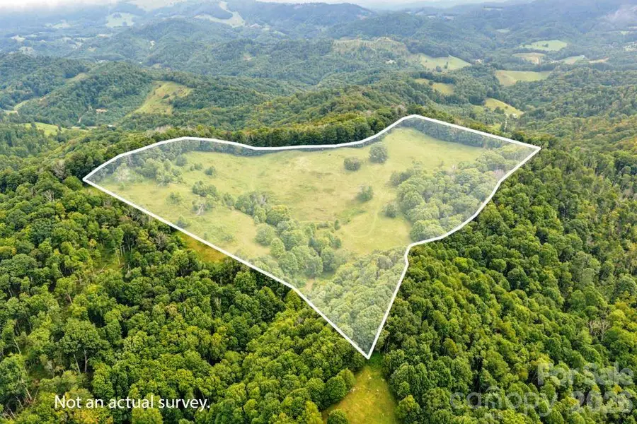 tbd Vaughn Potter Road, Zionville, NC 28698 - #3
