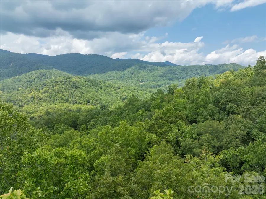 7777 Saw Branch Road, Candler, NC 28715 - #3
