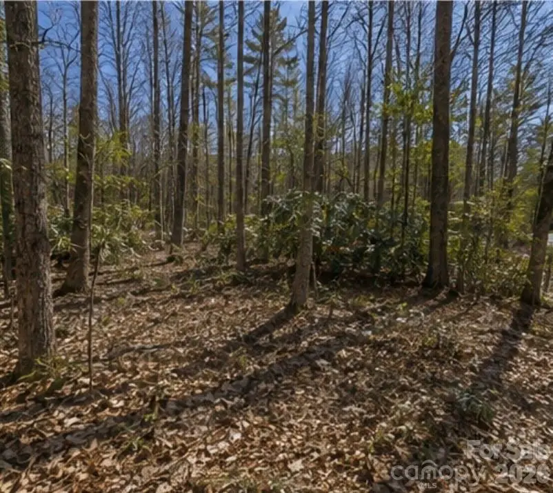 109 W Christy Trail, Sapphire, NC 28774 - #1