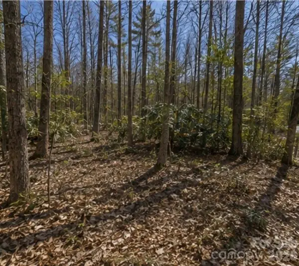 109 W Christy Trail, Sapphire, NC 28774