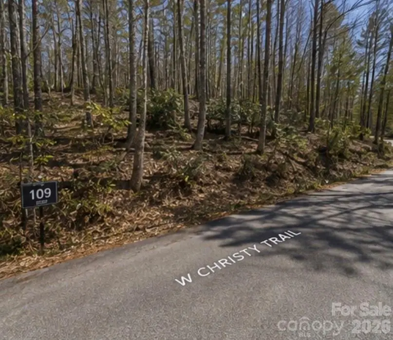 109 W Christy Trail, Sapphire, NC 28774 - #2
