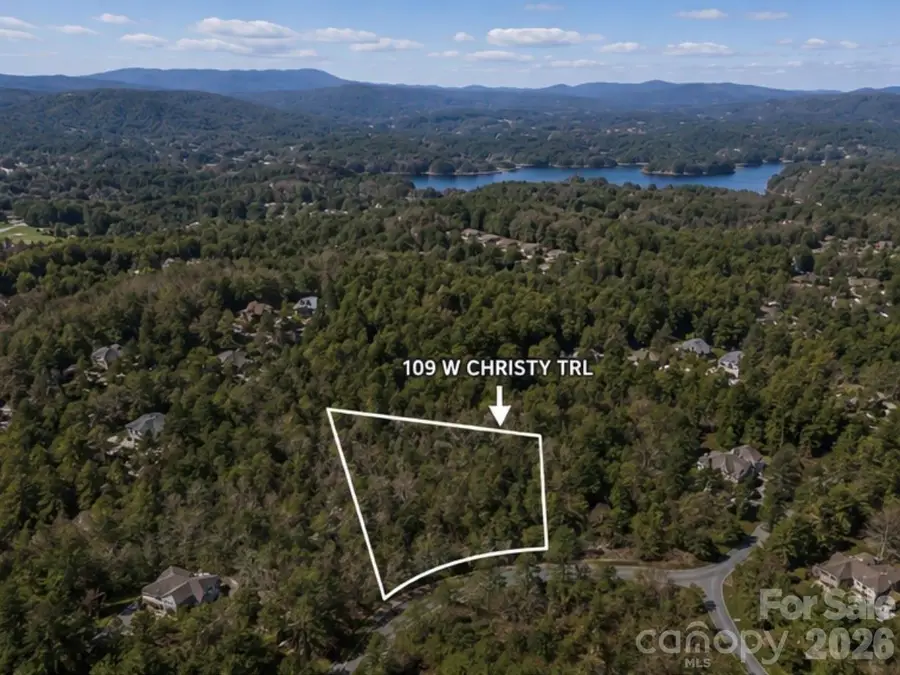 109 W Christy Trail, Sapphire, NC 28774 - #3